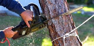 Best Lawn Irrigation Installation and Maintenance  in Puget Island, WA