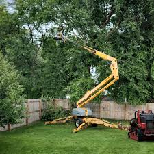 Best Storm Damage Tree Cleanup  in Puget Island, WA