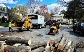 Best Tree Maintenance Programs  in Puget Island, WA