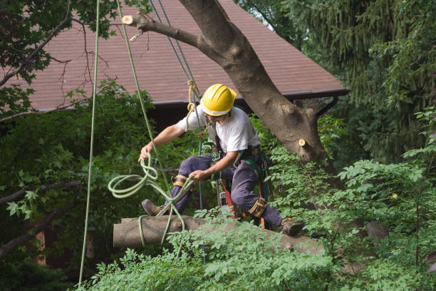 Best Utility Line Clearance  in Puget Island, WA